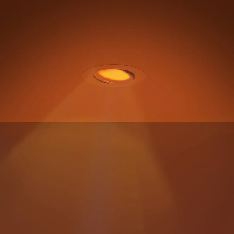 2026_05_25_838895
