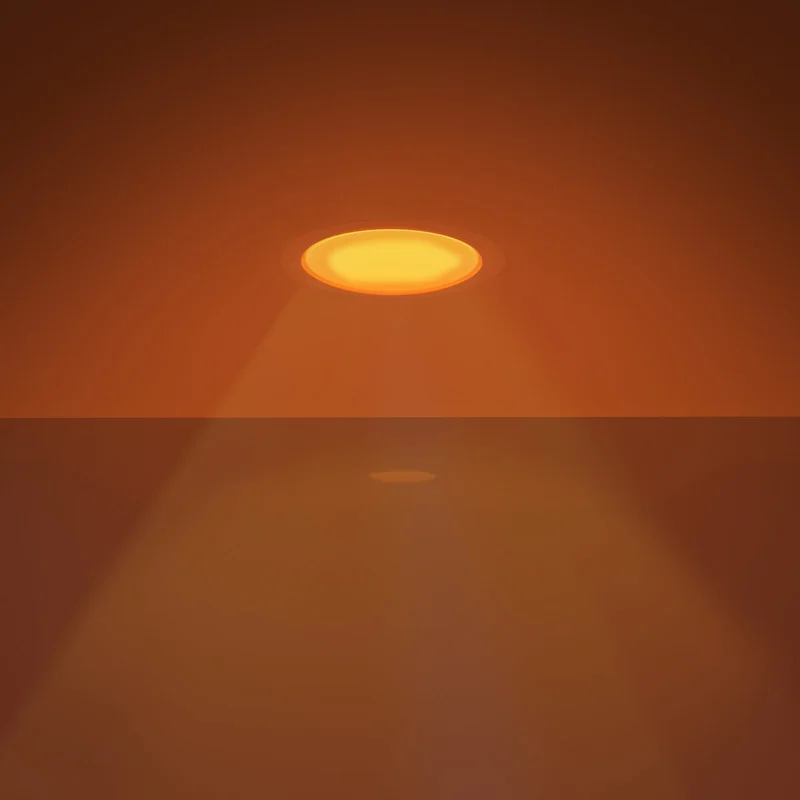 2026_05_25_838906
