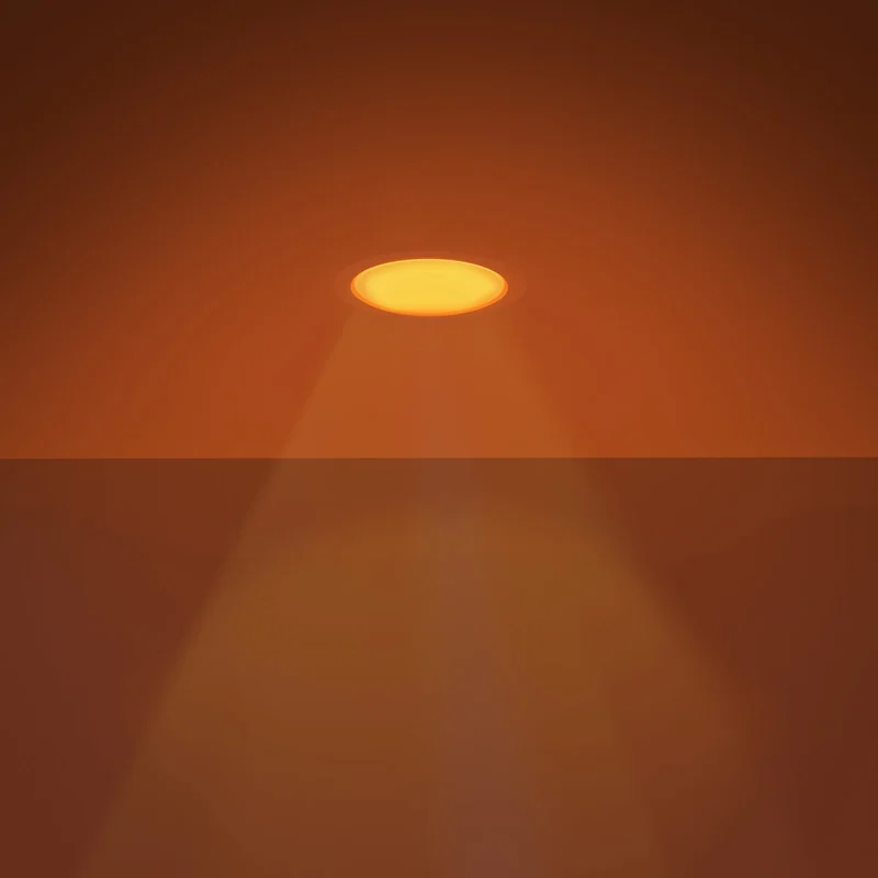 2026_05_25_838914