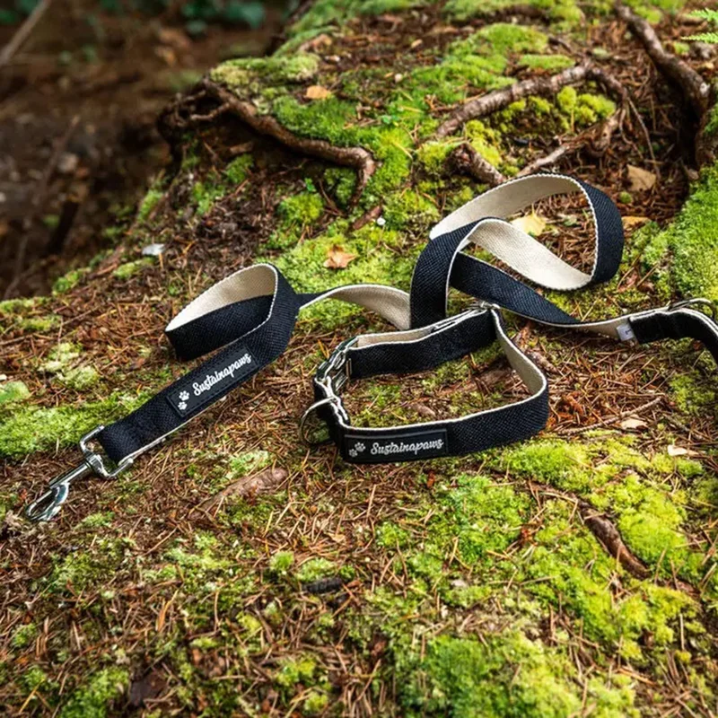 2026_05_26_1020871