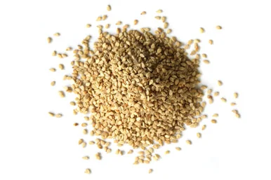 mountainroseherbs20260525082139780862