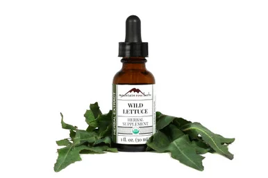 mountainroseherbs20260525083433782215