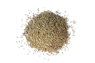 mountainroseherbs20260525084057782767