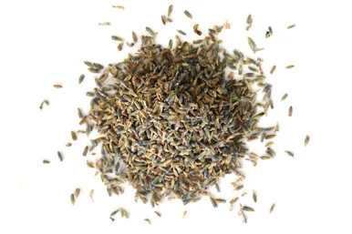 mountainroseherbs20260525090930785961