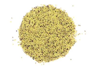 mountainroseherbs20260525092001787644