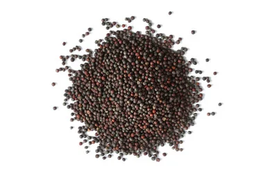 mountainroseherbs20260525092634788522