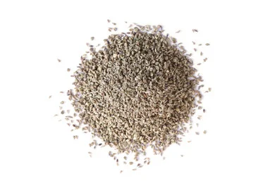 mountainroseherbs20260525152621829859