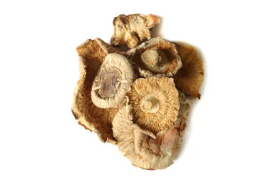 mountainroseherbs20260525164721836523