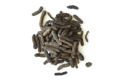 mountainroseherbs20260525165653837457