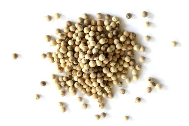 mountainroseherbs20260525171125838793