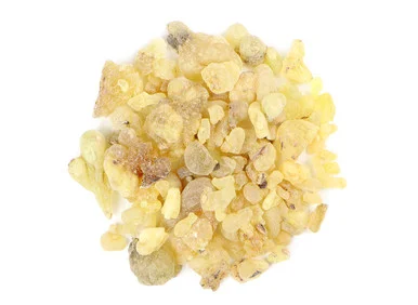 mountainroseherbs20260525171857839489
