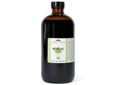mountainroseherbs20260525172521840087