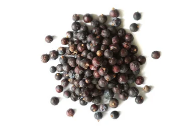 mountainroseherbs20260525172623840200