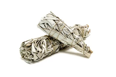 mountainroseherbs20260525174207841740